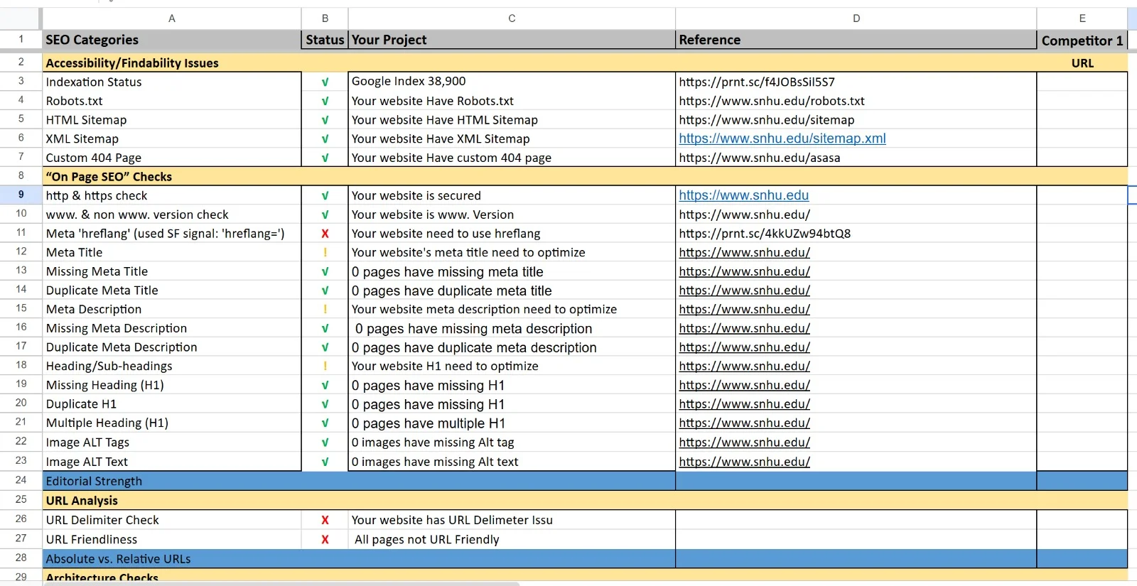 Website Audit — case study preview